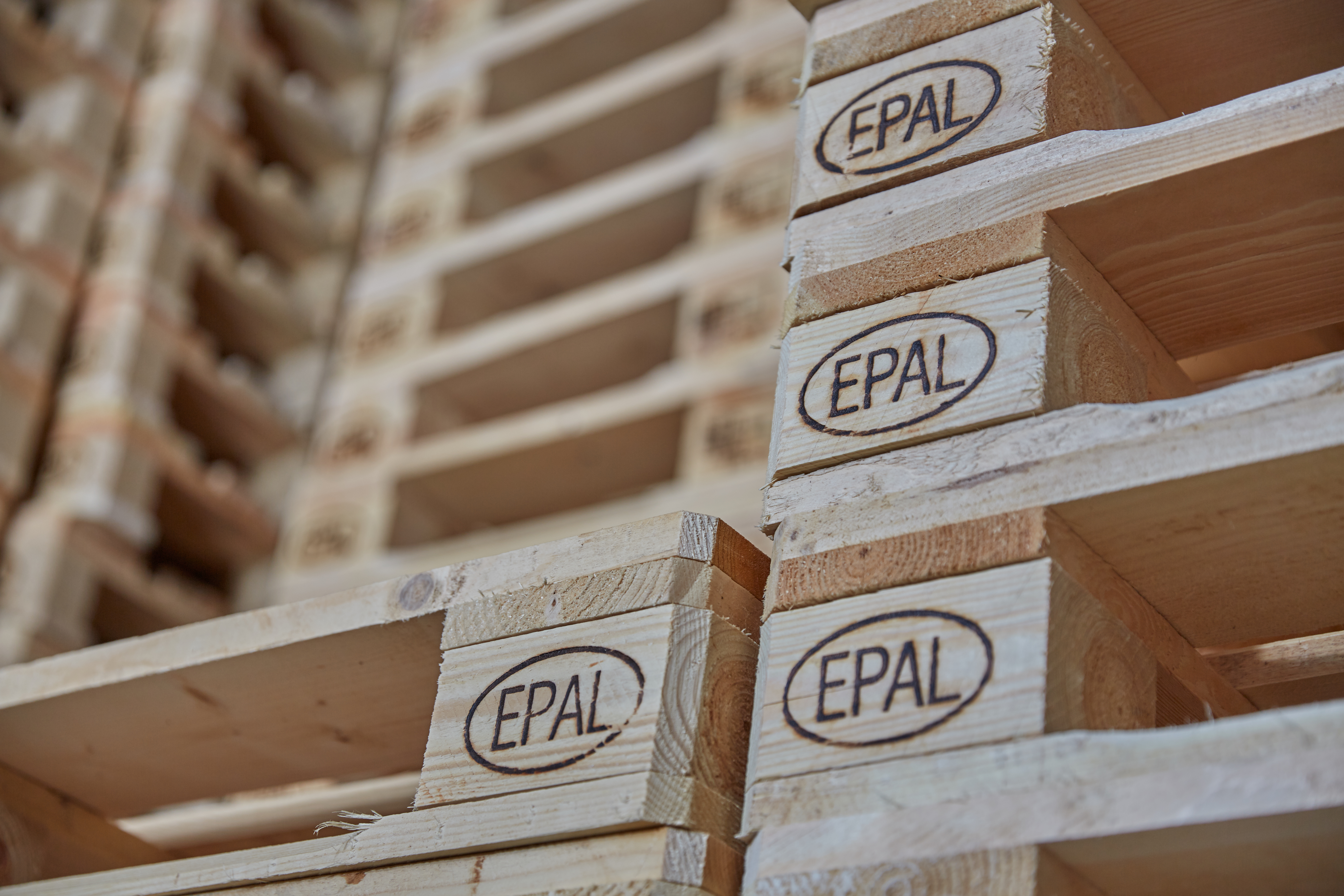 Deep Learning Ensemble for Automated Pallet Counting: A Multi-Target Regression Approach with Explainable AI